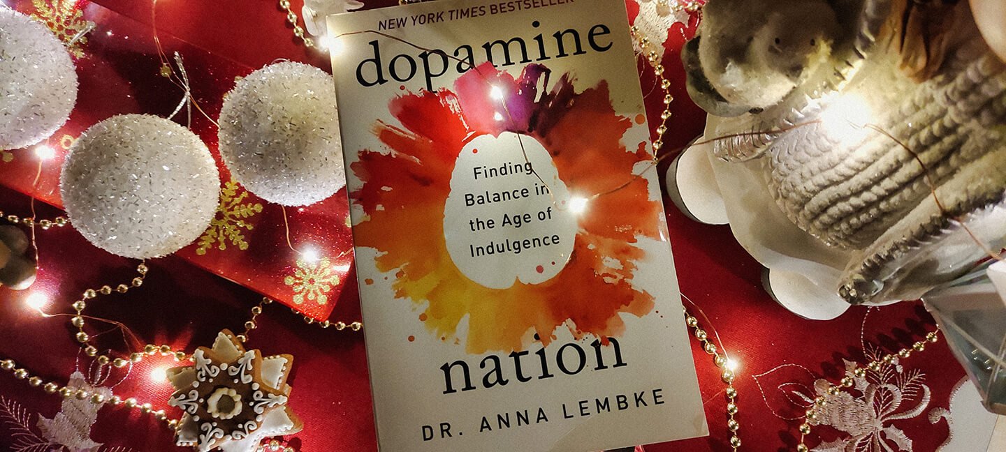 Dopamine Nation christmas decoration