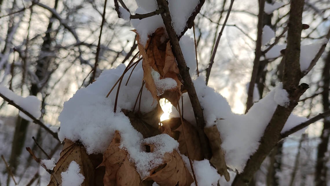 Jak jsem hledal pochopení a soucit