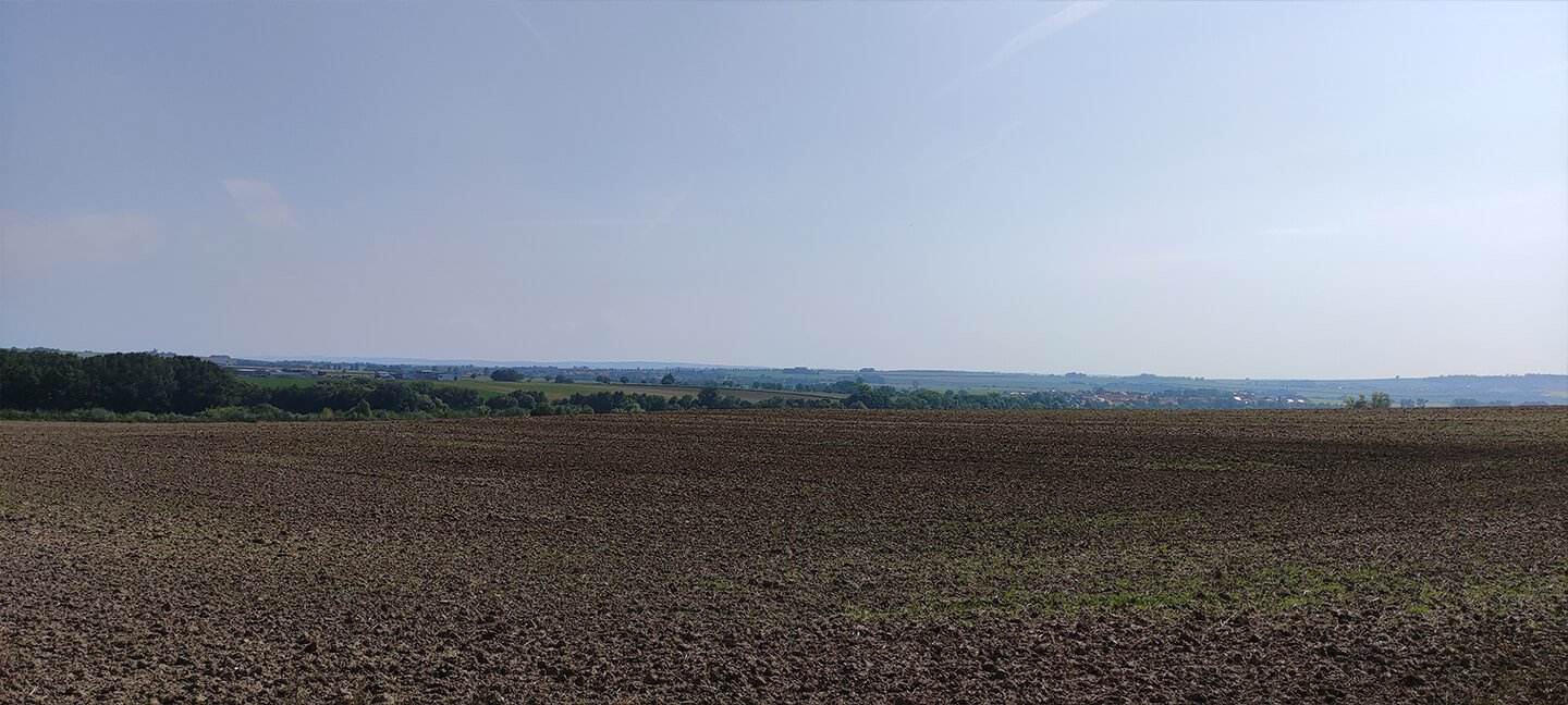 Okolí Brna pole