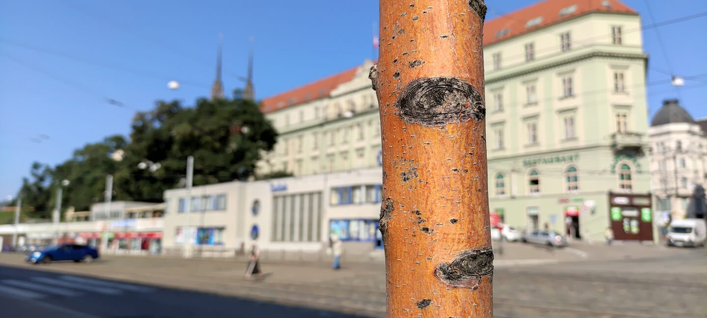 Brno u nádraží