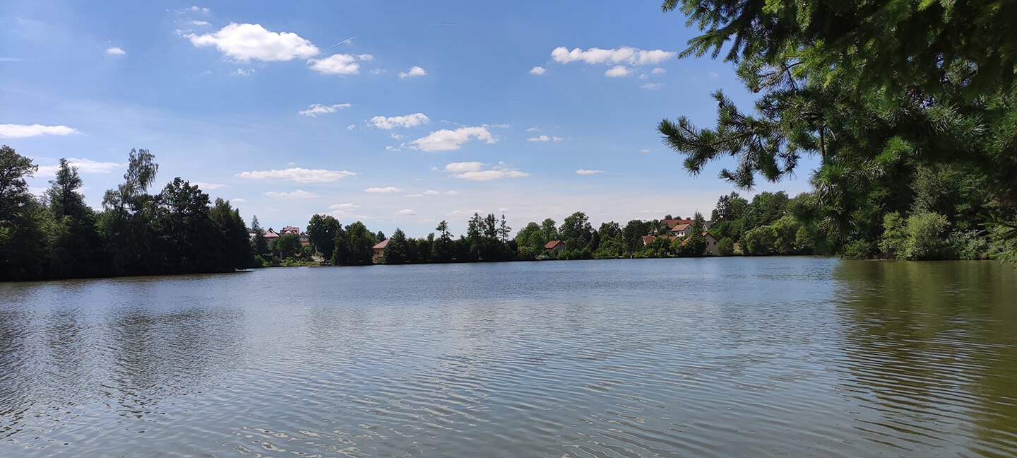 11 rybnik