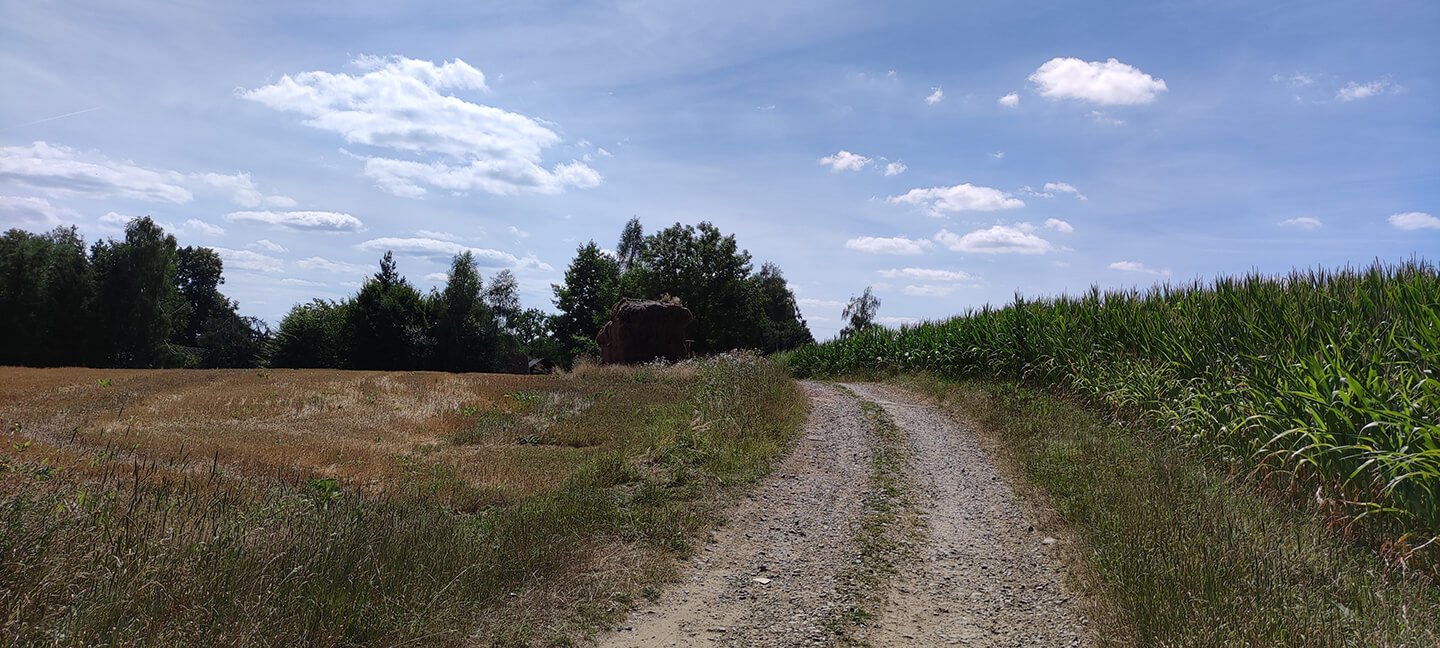 17 cesta kukuricne pole